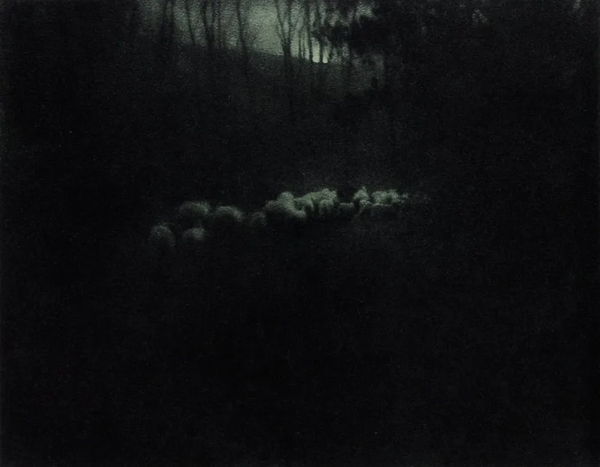 Edward Steichen, Pastoral—Moonlight (1907), published in Camera Work No. 20