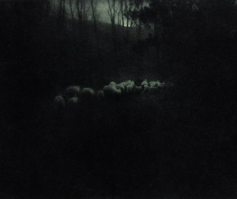 Michael Kenna: The Square Print and the Hours-Long Night Exposure
