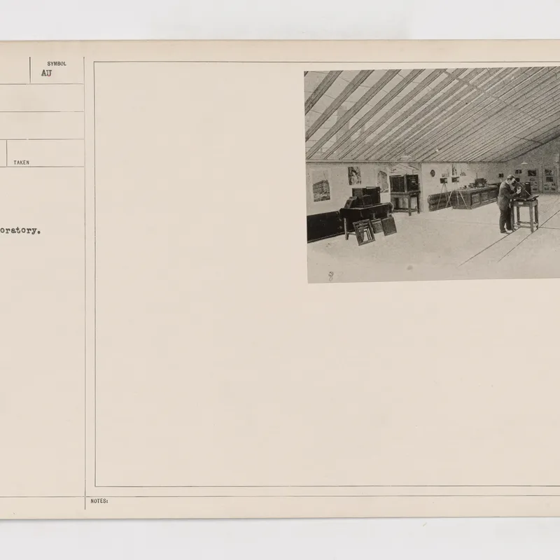 Selenium Toning for Archival Permanence and Tonal Shift